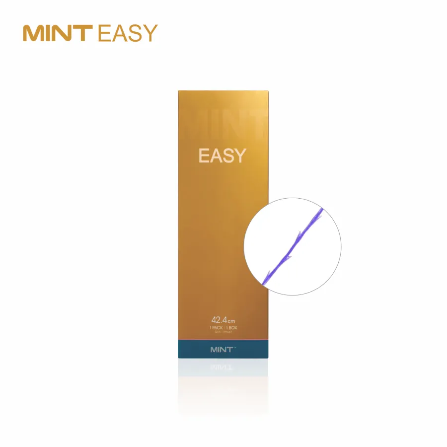 Mint Easy